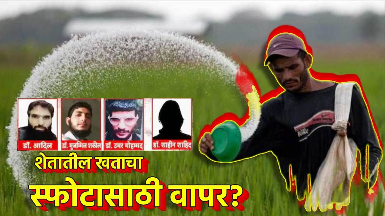 Explain Delhi Blast : शेतातील खताचा स्फोटासाठी वापर? अमोनियम नायट्रेट दहशतवाद्यांचे नवे शस्त्र, तुमच्या प्रश्नांची ए टू झेड उत्तरं