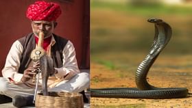 नाग खरोखरच पुंगीचा आवाज येताच डोलू लागतात का? काय आहे सत्य?