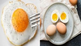 अंड्यातील पिवळा भाग खावा की नाही? हे आरोग्यदायी असते की हानिकारक?