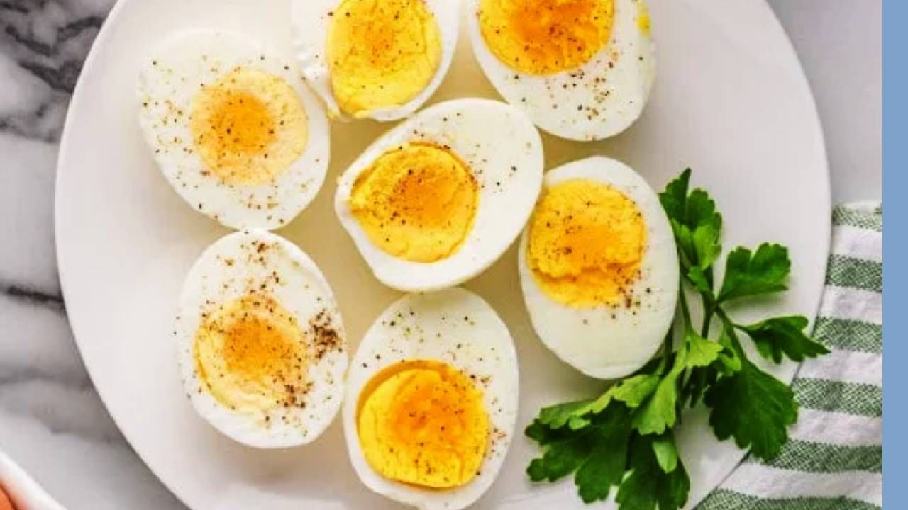 अंड्यात सर्वाधिक प्रथिने असतात. प्रथिनांचा तो एक चांगला स्त्रोत मानल्या जातो. जर तुम्ही रोज अंडे खाल्ले तर शरीरात ताकद, ऊर्जा वाढते. शरीर मजबूत होते. शरीरात अनेक बदल दिसून येतात. 