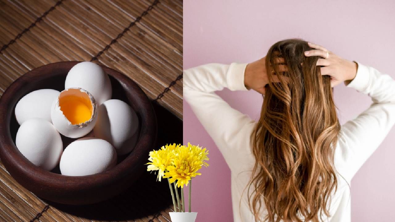 अंडे खाल्ल्याने भूख लागत नाही. कारण हे हाय प्रोटीन फूड आहे. यामुळे सतत काहीतरी खाण्याची इच्छा कमी होते. वजन नियंत्रित राहते. अंड्यातील बायोटिन आणि व्हिटामिन D त्वचेसाठी आणि केसांना पोषण देते. अंड्याच्या नियमीत सेवनाने त्वचा आणि केस चमकदार होतात.