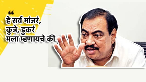 Eknath Khadse: हे सर्व मांजरं, कुत्रे, डुकरं मला म्हणायचे की... नाथाभाऊ संतापले, कुणावर साधला निशाणा?