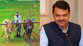 शेतकऱ्यांच्या कर्जाविषयी सर्वात मोठी खुशखबर, सरकारचा थेट मोठा निर्णय