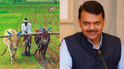 शेतकऱ्यांच्या कर्जाविषयी सर्वात मोठी खुशखबर, सरकारनं थेट घेतला मोठा निर्णय; नेमकं काय ठरलं?