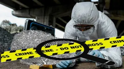Explainer :  बलात्कारापासून ते खून, स्फोटापर्यंत, फॉरेन्सिक एक्स्पर्ट घटनास्थळी करतात तरी काय? पुरावा कसा शोधला जातो?