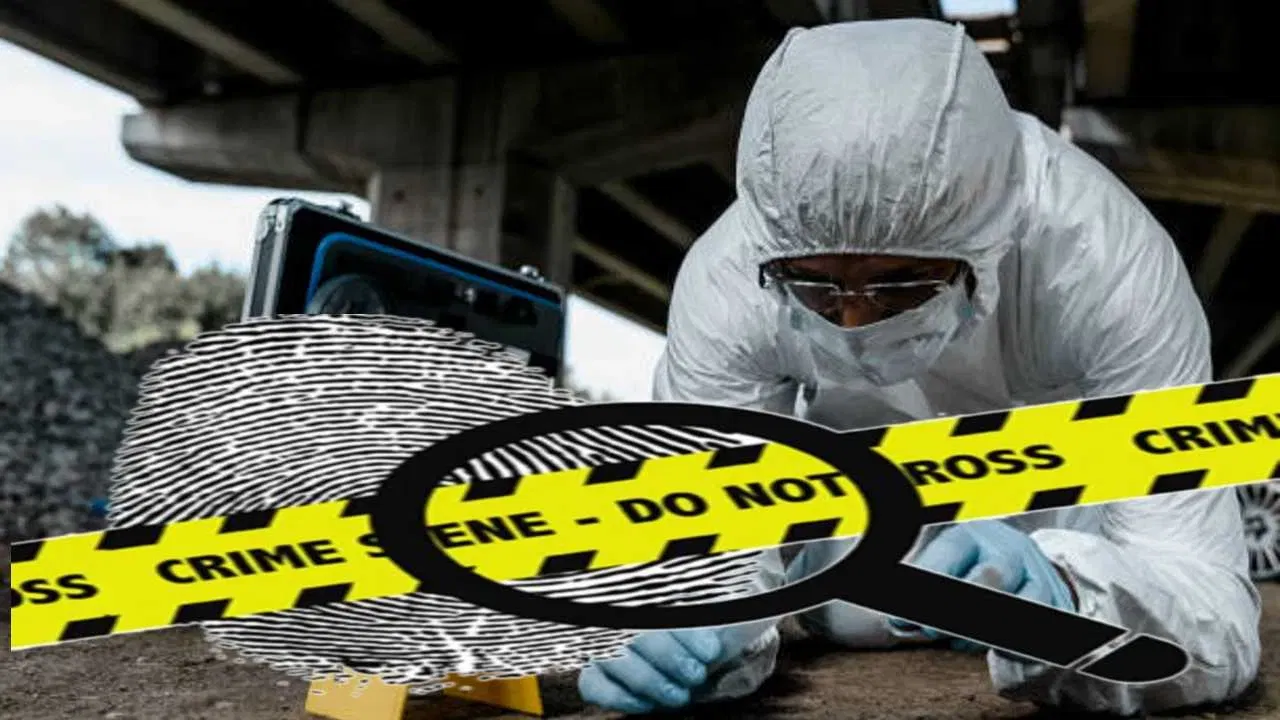 Explainer :  बलात्कारापासून ते खून, स्फोटापर्यंत, फॉरेन्सिक एक्स्पर्ट घटनास्थळी करतात तरी काय? पुरावा कसा शोधला जातो?