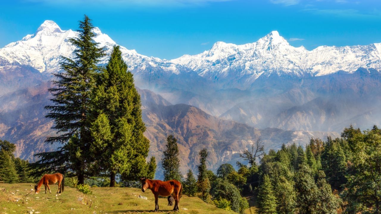 या राज्याची अर्थव्यवस्था प्रामुख्याने पर्यटन, जलविद्युत निर्मिती आणि फलोत्पादनावर आधारित आहे. शिमला, मनाली, कुल्लू आणि डलहौसी ही येथील प्रमुख पर्यटन स्थळे आहेत, या ठिकाणी देश-विदेशातील पर्यटकांची गर्दी असते.