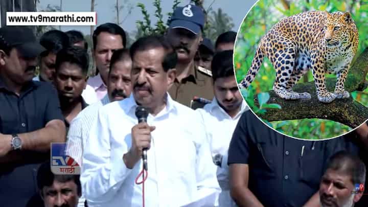 Pune Leopard Attacks : बिबट्या दिसला की थेट गोळ्या घाला, वनमंत्र्यांचे फर्मान, आता मानवांवरील हल्ले कमी होणार? Pune Leopard Attacks : बिबट्या दिसला की थेट गोळ्या घाला, वनमंत्र्यांचे फर्मान, आता मानवांवरील हल्ले कमी होणार?