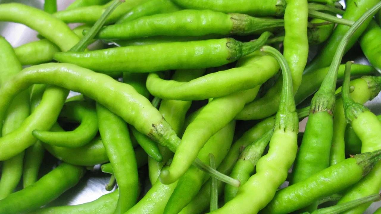  बरेच लोक तिखट कमी खातात. मुळात आपल्या निरोगी आरोग्यासाठी तिखट कमी खाणेच फायदेशीर आहे. मात्र, लाल चटणीपेक्षा कायमच हिरवी मिरची आरोग्यासाठी फायदेशीर आहे. 