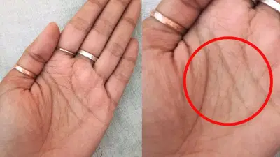 90 टक्के लोकांना माहिती नाही, तुमचे नशिब तुमच्या तळहातावर? जाणून घ्या