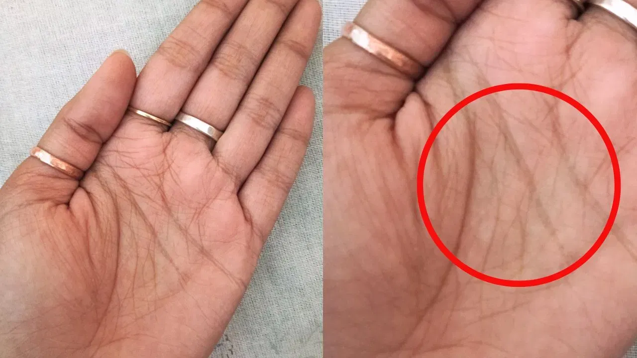 90 टक्के लोकांना माहिती नाही, तुमचे नशिब तुमच्या तळहातावर? जाणून घ्या