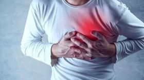 Heart Attack : भारतात या चार कारणांनी येतो बहुतांशी लोकांना हार्ट अटॅक