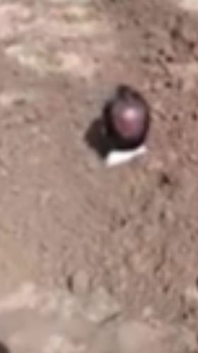 जालन्यात शेतकऱ्याचं अनोखं आंदोलन, स्वत:ला जमिनीत गाडलं