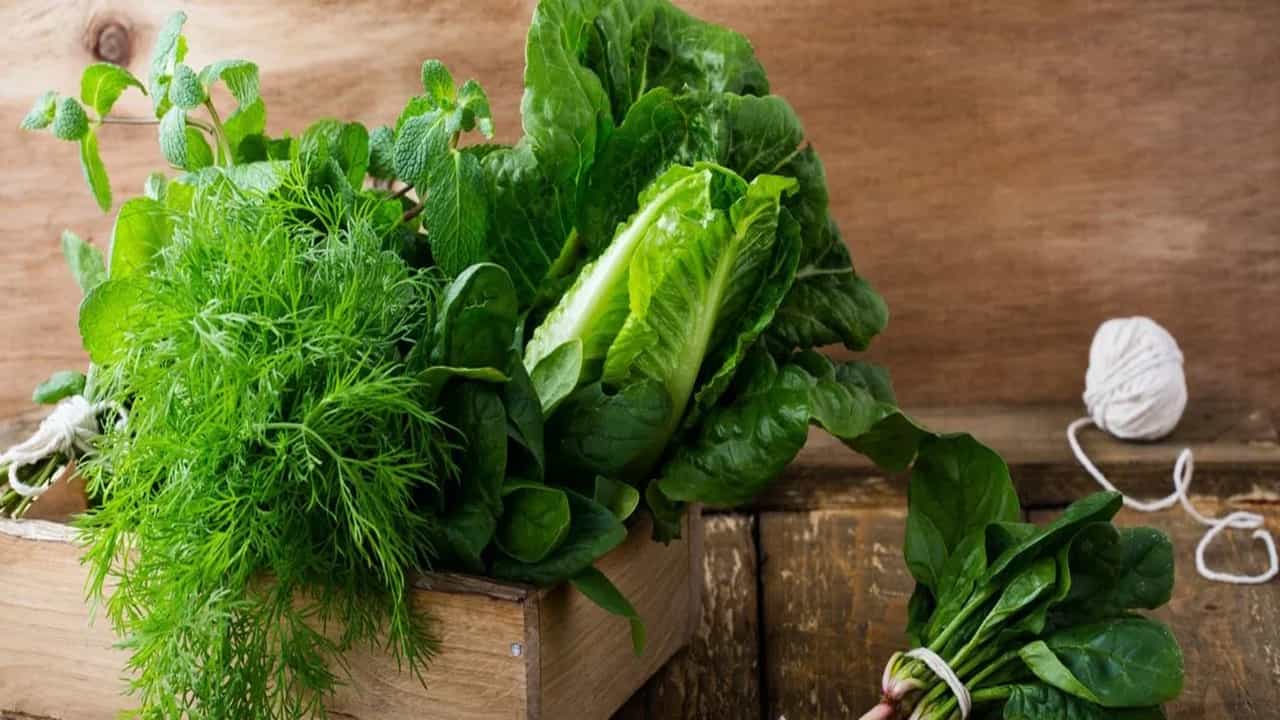 हिवाळ्यात बऱ्याच दिवस पालेभाज्या राहतील फ्रेश, फॉलो करा या खास टिप्स