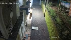 चिवेली गावात बिबट्याची दहशत,नागरिकांमध्ये भीती