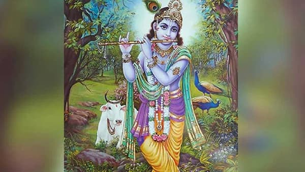 मार्गशीर्ष अमावस्येला भगवान श्रीकृष्ण आणि पिंपळाच्या झाडाची अशी करा पूजा, जाणून घ्या महत्वाचे नियम