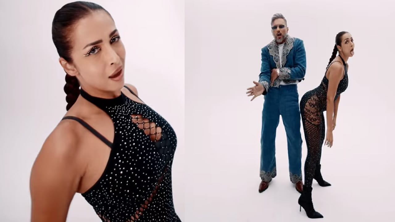 लाजच सोडली… आधीच अश्लील गाण्यामुळे ट्रोलर्सकडून चिखलफेक… त्यात बेअक्कल उत्तर; नेमकं काय म्हणाली मलायका?