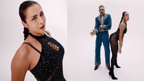 अश्लील गाण्यामुळे ट्रोल, त्यात बेअक्कल उत्तर;नेमकं काय म्हणाली मलायका?