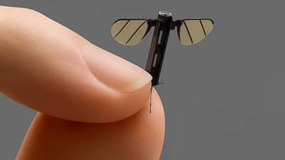 डोळ्याला दिसणं कठीण, आवाज ऐकू येणं अशक्य आणि रोखणं तर इम्पॉसिबलच, म्हणून अमेरिका-चीन सारखे बलाढ्य देश या मच्छरच्या मागे लागलेत