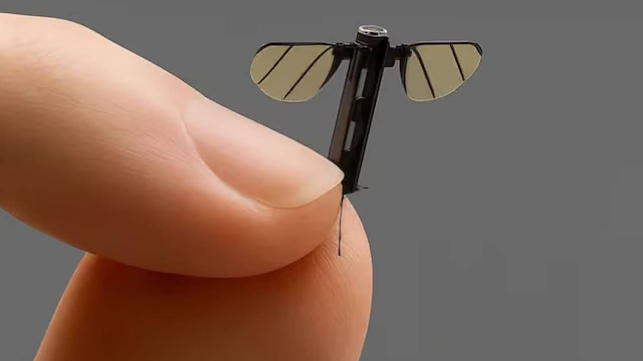 डोळ्याला दिसणं कठीण, आवाज ऐकू येणं अशक्य आणि रोखणं तर इम्पॉसिबलच, म्हणून अमेरिका-चीन सारखे बलाढ्य देश या मच्छरच्या मागे लागलेत