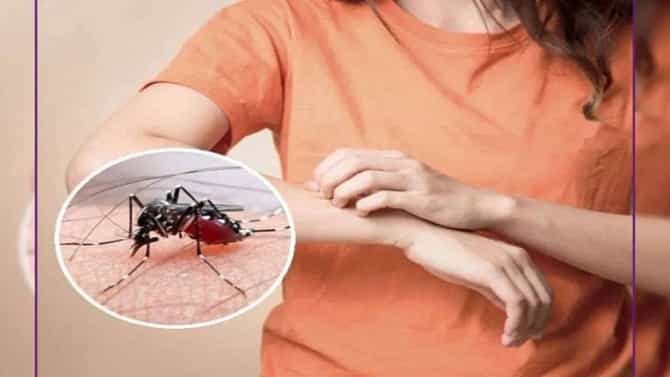या सोप्या उपायांचा अवलंब केल्यास मुलांच्या जवळही फिरकणार नाही डास