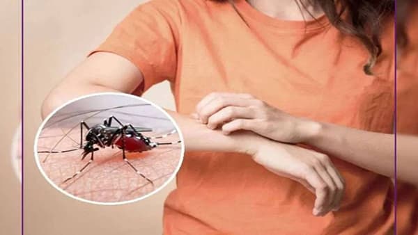 या सोप्या उपायांचा अवलंब केल्यास मुलांच्या जवळही फिरकणार नाही डास