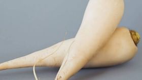 मुळ्यासोबत चुकूनही या दोन गोष्टी खाऊ नका, आयुर्वेद एक्सपर्टनी...