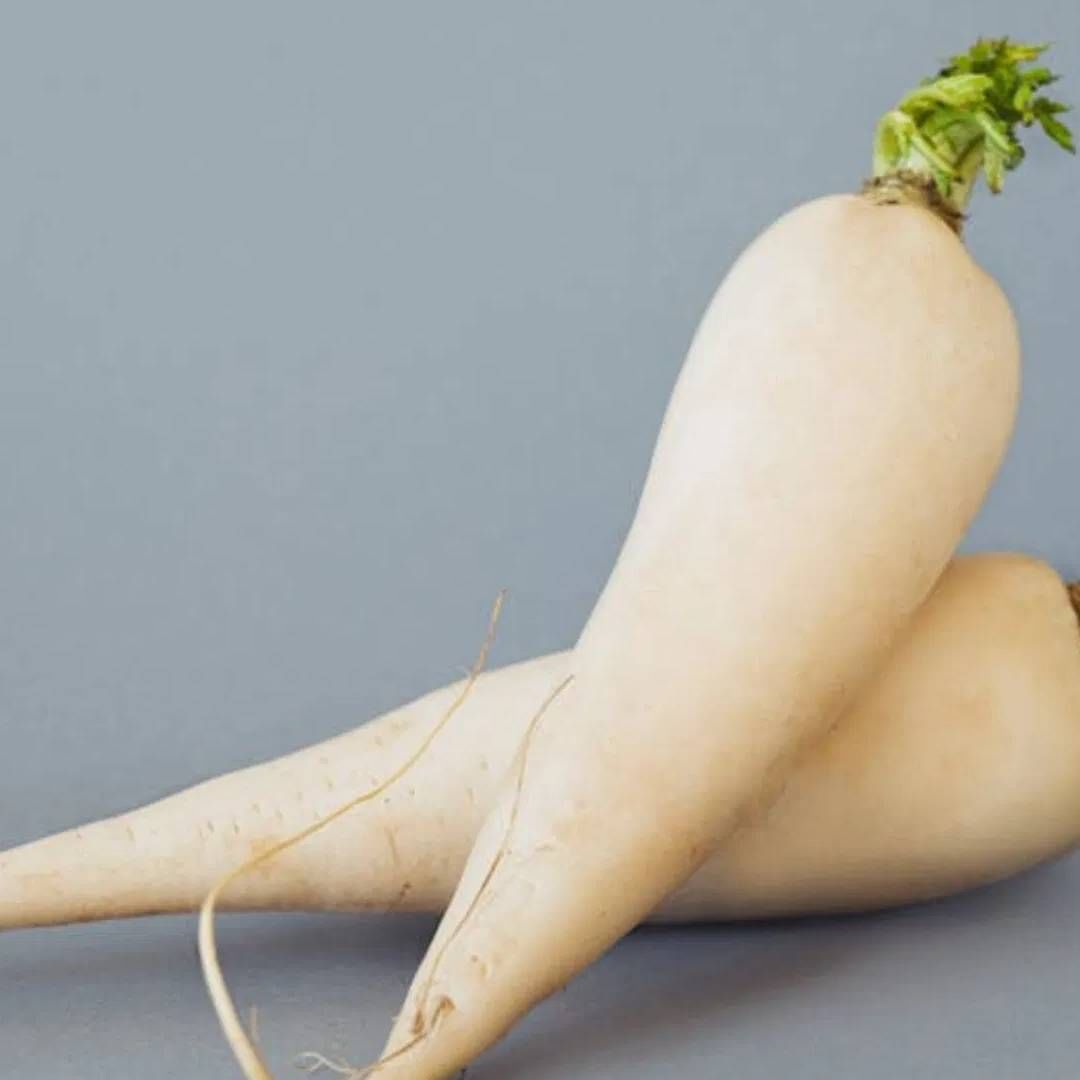 मुळ्यामध्ये पाण्याच प्रमाण जास्त असतं. मुळा खाऊन शरीर हायड्रेड ठेवयाला मदत होते. मूळा खाऊन तुम्ही अपचन, गॅस आणि एसिडिटीचा त्रास कमी होतो. पचनासाठी सुद्धा मूळा चांगला मानला जातो. (Credit : Pexels)