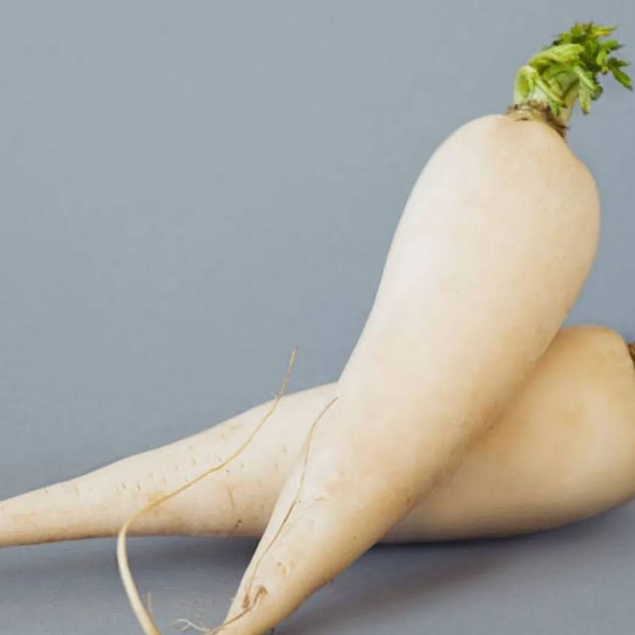 मुळ्यामध्ये पाण्याच प्रमाण जास्त असतं. मुळा खाऊन शरीर हायड्रेड ठेवयाला मदत होते. मूळा खाऊन तुम्ही अपचन, गॅस आणि एसिडिटीचा त्रास कमी होतो. पचनासाठी सुद्धा मूळा चांगला मानला जातो. (Credit : Pexels)