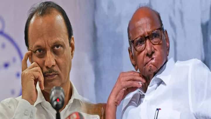 Shirur NCP Reunion : ठरलं, आगामी निवडणुकीत दोन्ही राष्ट्रवादींचं मनोमिलन? आता इतिहास घडणार? Shirur NCP Reunion : ठरलं, आगामी निवडणुकीत दोन्ही राष्ट्रवादींचं मनोमिलन? आता इतिहास घडणार?