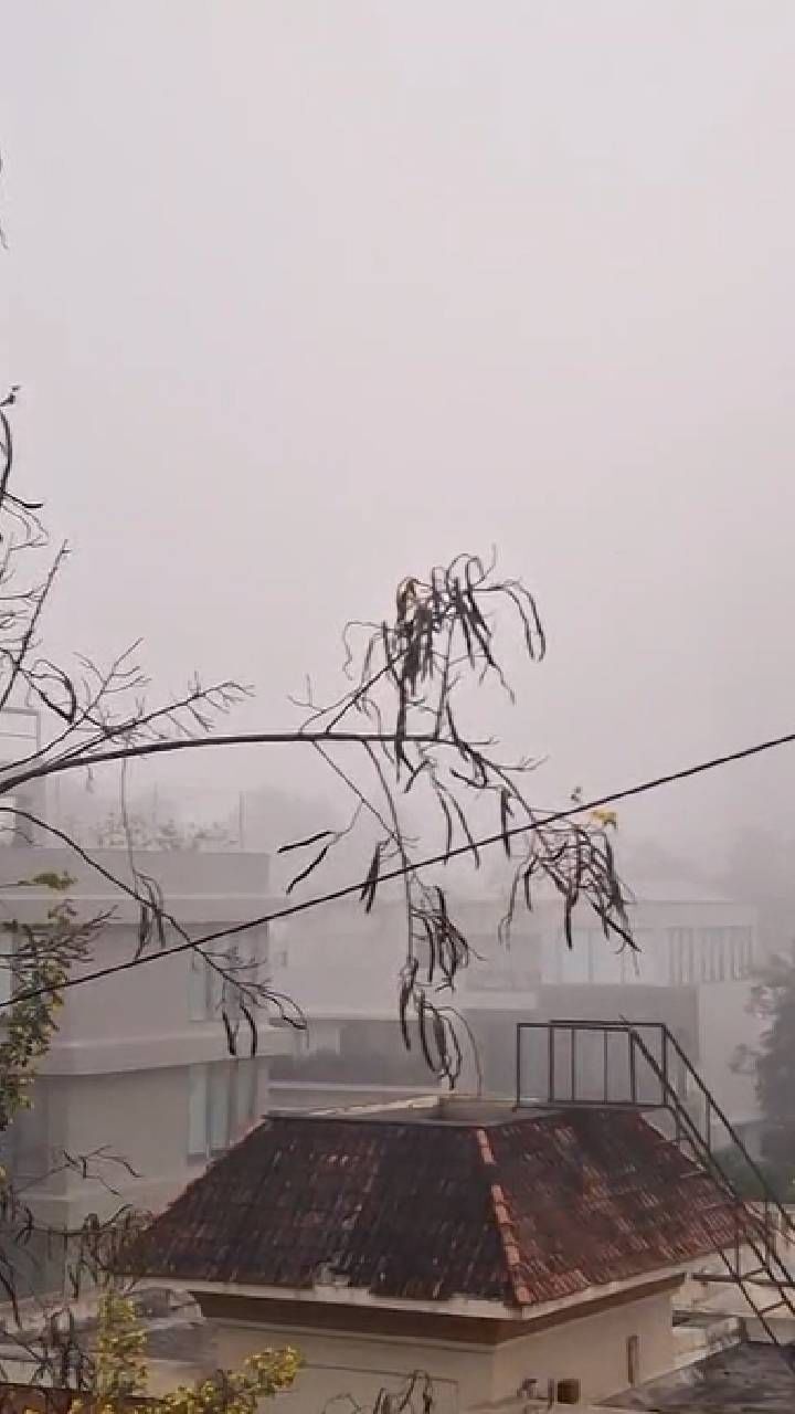 नाशिक शहरात सर्वत्र धूक्याची चादर पसरली