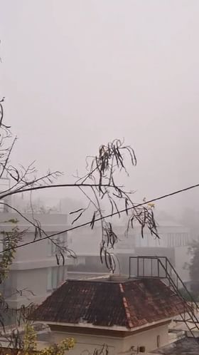 नाशिक शहरात सर्वत्र धूक्याची चादर पसरली.