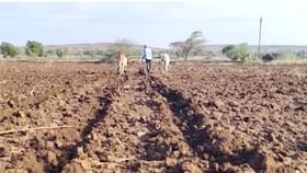 नंदुरबार जिल्ह्यात तापमानात घसरण; रब्बी हंगामाच्या पेरण्यांना वेग.