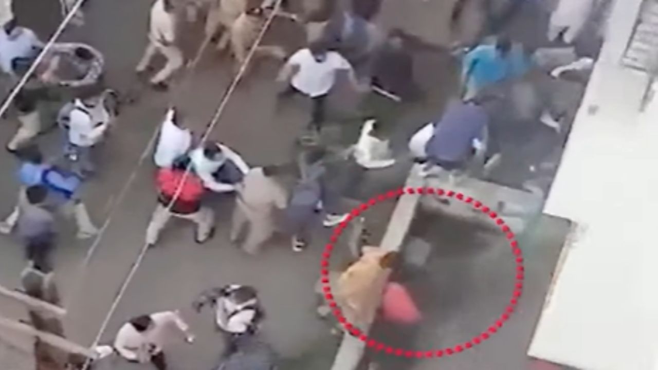 सुरुवातीला बिबट्या एका घरात लपून बसला होता, मात्र नंतर ते दुसरीकडे पळाला, त्यामुळे वन विभागाचे कर्मचारी या बिबट्याच्या मागे धावताना दिसले. 