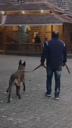 नाशिक : मुख्यमंत्र्यांच्या नाशिक दौऱ्यापूर्वी विशेष खबरदारी.