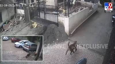 Nashik CCTV:  तो आला त्याला माणसं दिसली… धुमाकूळ घालणाऱ्या बिबट्याची दहशत, 4 तास थरार, धिप्पाड बिबट्याचा बघा थरारक CCTV