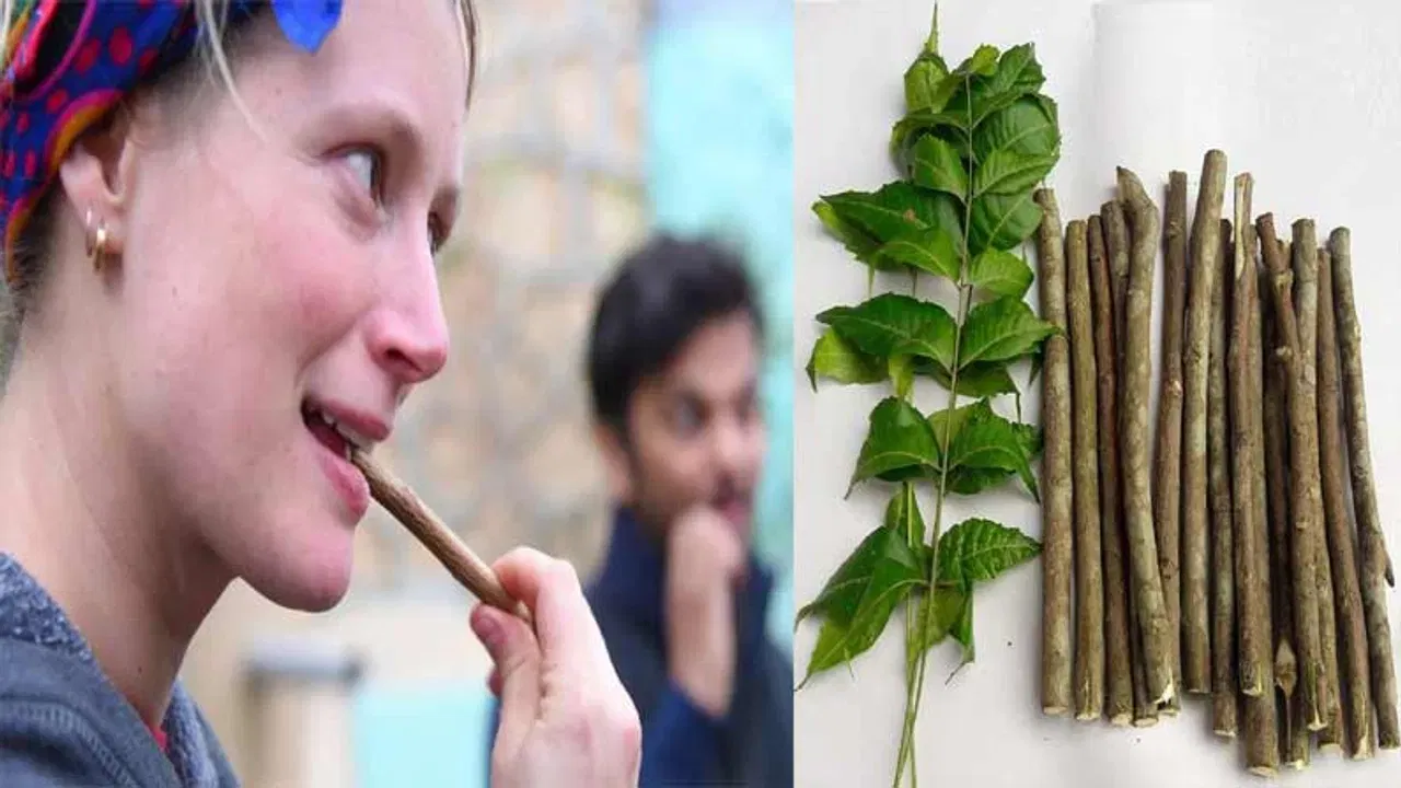 बॅक्टेरिया नष्ट होतो - प्राचीन काळात लोक कडुलिंबाच्या काडीने दात घासायचे. कडुलिंबामध्ये अनेक औषधी गुणधर्म आहेत, ज्यामुळे तोंडातील बॅक्टेरिया नष्ट होतात आणि हिरड्यांचे आरोग्य सुधारते.