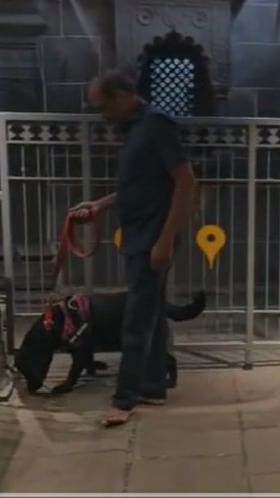 दिल्ली बॉम्बस्फोटानंतर पंढरपूरातील विठ्ठल मंदिरात श्वान पथकाने तपासणी केली