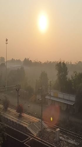 निफाड तालुक्यात पारा घसरला.