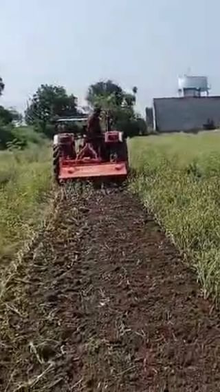 शेतकऱ्याने उभ्या कांद्याच्या पिकावर फिरवला ट्रॅक्टर
