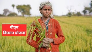 PM Kisan Scheme: आनंदवार्ता धडकली! पीएम किसान योजनेचा 21 वा हप्ता मिळणार, केंद्र सरकार करू शकते आज घोषणा