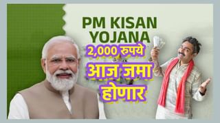 PM Kisan: 2000 रुपये खात्यात आले की नाही? एका क्लिकवर बॅलेन्स तपासा