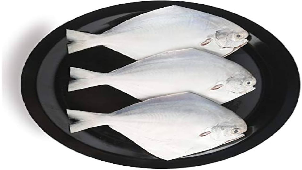 गर्भवती महिलांसाठी देखील पापलेट मासा पोषक आहे. त्यामध्ये उच्च दर्जाचे प्रथिन, ओमेगा-3 आणि आवश्यक खनिजे गर्भाच्या मेंदू व स्नायू विकासासाठी मदत करतात. पण ते योग्य प्रमाणात खाल्यास फायदेशीर ठरते. 