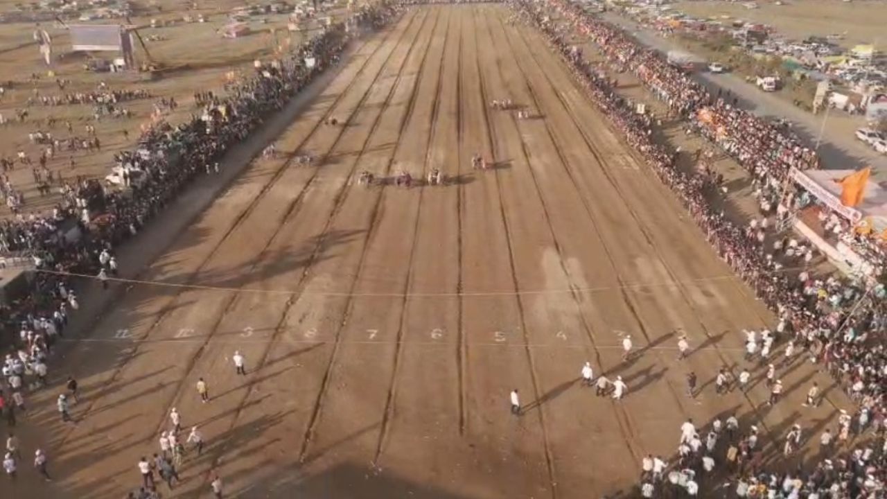 Sangli: हेलिकॉप्टर बैज्या व ब्रेक फेल बैलजोडीने मारले मैदान, पटकावली मानाची फॉर्च्युनर Sangli: हेलिकॉप्टर बैज्या व ब्रेक फेल बैलजोडीने मारले मैदान, पटकावली मानाची फॉर्च्युनर