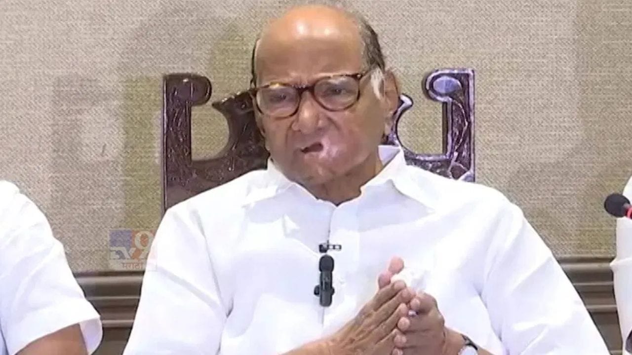 मोठी बातमी! मतदानापूर्वी गेम फिरला, ओबीसी समाजाचा थेट राष्ट्रवादी शरद पवार गटाला जाहीर पाठिंबा, नेमकं काय घडलं?