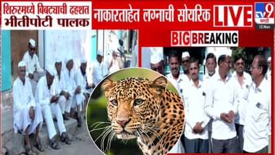 Leopard Terror: बिबट्याची दहशत लैच बेक्कार! ‘या’ जिल्ह्यात पोरं वेल सेटल पण बायको कोणी देईना.. सोयरिक जुळण्यास ब्रेक