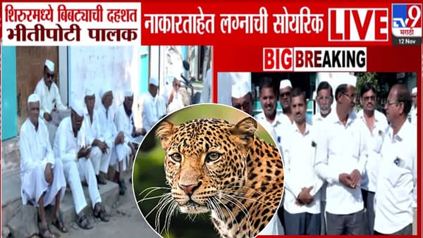 Leopard Terror: बिबट्याची दहशत लैच बेक्कार! ‘या’ जिल्ह्यात पोरं वेल सेटल पण बायको कोणी देईना.. सोयरिक जुळण्यास ब्रेक