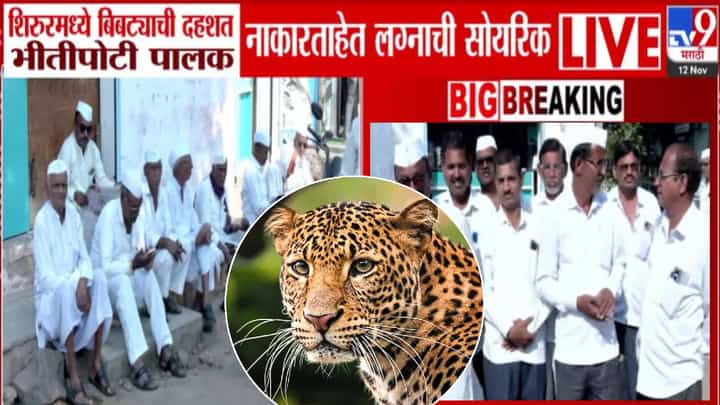 Leopard Terror: बिबट्याची दहशत लैच बेक्कार! 'या' जिल्ह्यात पोरं वेल सेटल पण बायको कोणी देईना.. सोयरिक जुळण्यास ब्रेक Leopard Terror: बिबट्याची दहशत लैच बेक्कार! 'या' जिल्ह्यात पोरं वेल सेटल पण बायको कोणी देईना.. सोयरिक जुळण्यास ब्रेक