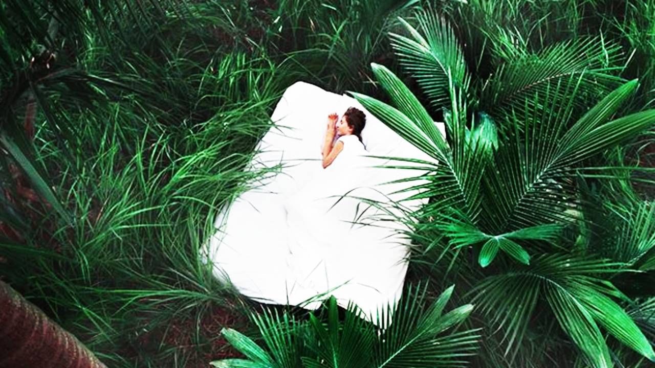 मनाला पूर्णपणे आराम द्या, Sleep Tourism नेमकं काय? जाणून घ्या मनाला पूर्णपणे आराम द्या, Sleep Tourism नेमकं काय? जाणून घ्या
