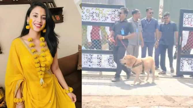 अचानक पोलीस आणि डॉग स्क्वॉड पथक आलं, क्रिकेटर स्मृती मानधनाच्या लग्नाला काही तास बाकी असतानाच... नेमकं प्रकरण तरी काय?
